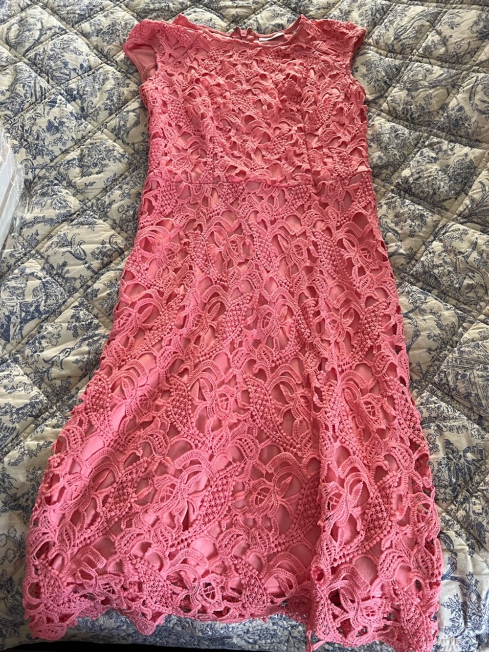 Lace Fit & Flare Midi Dress in Coral Pink